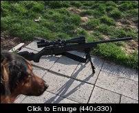 varmint gun version 2.jpg